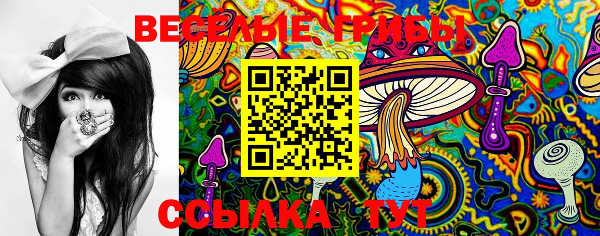 Псилоцибиновые грибы MAGIC MUSHROOMS Ростов-на-Дону